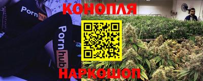 СК Чебаркуль