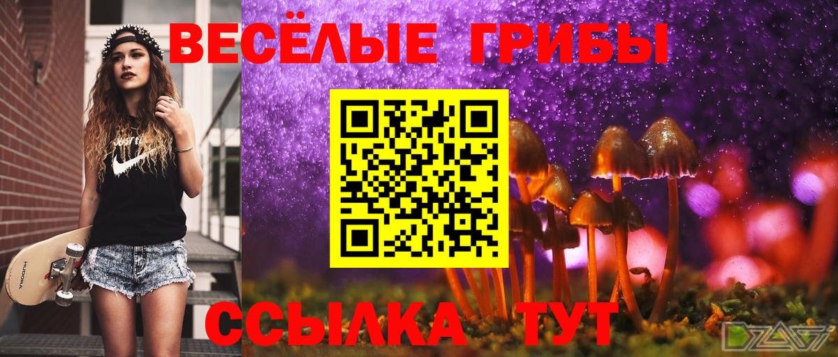 Галлюциногенные грибы прущие грибы  Вход с VPN  цена   Муравленко 